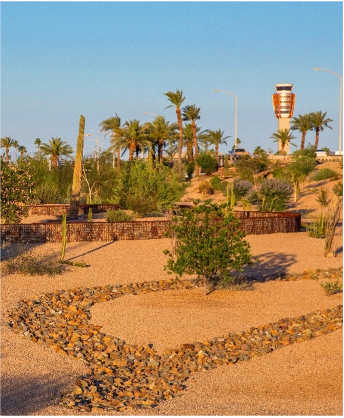 Nature around the Phoenix Sky Harbor International Airport